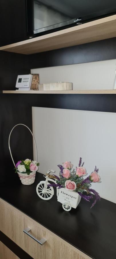 Casa Suzana Appartement Piatra Neamţ Buitenkant foto