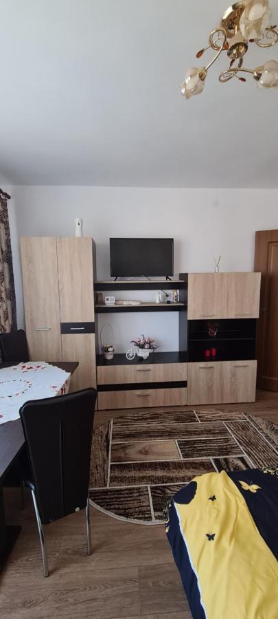 Casa Suzana Appartement Piatra Neamţ Buitenkant foto