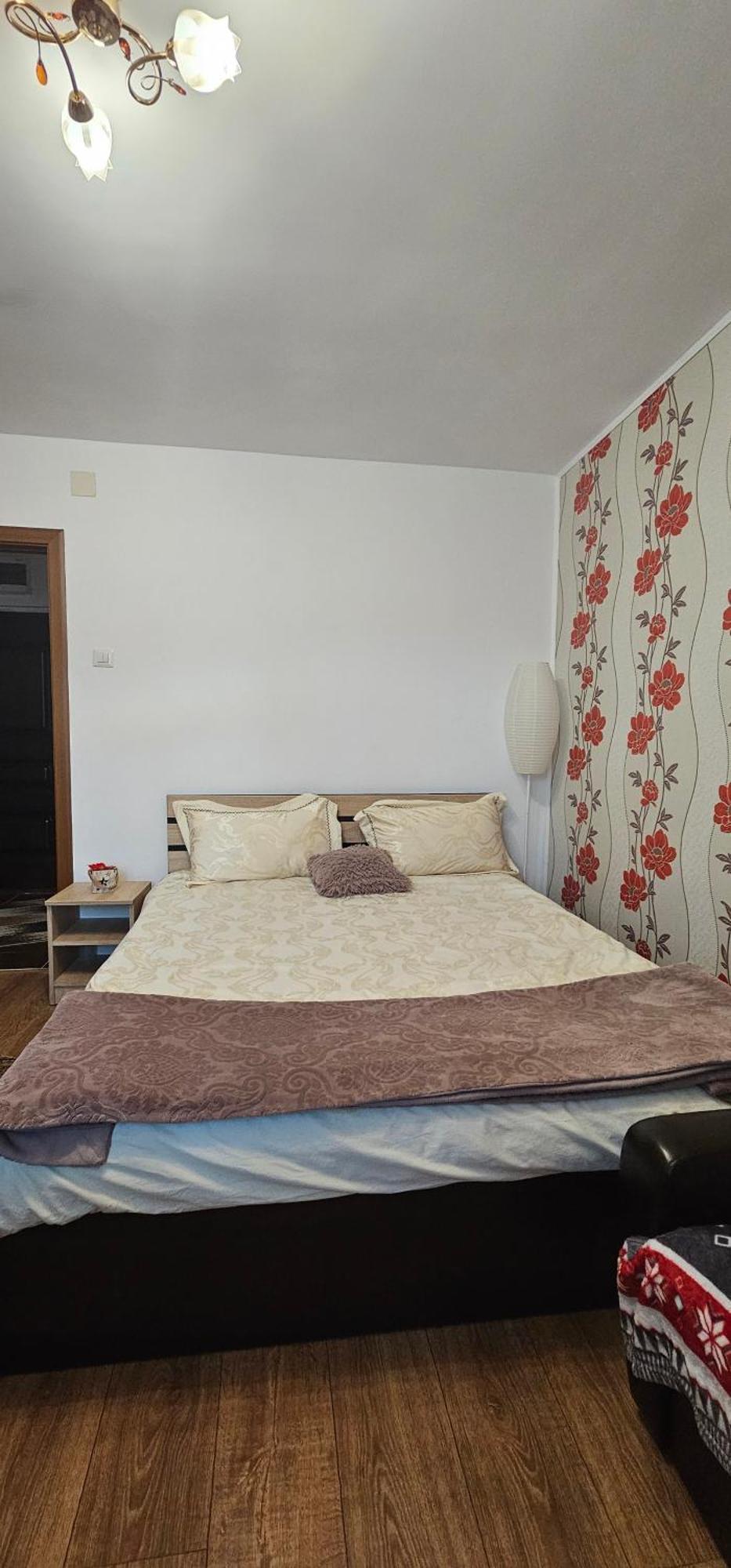 Casa Suzana Appartement Piatra Neamţ Buitenkant foto